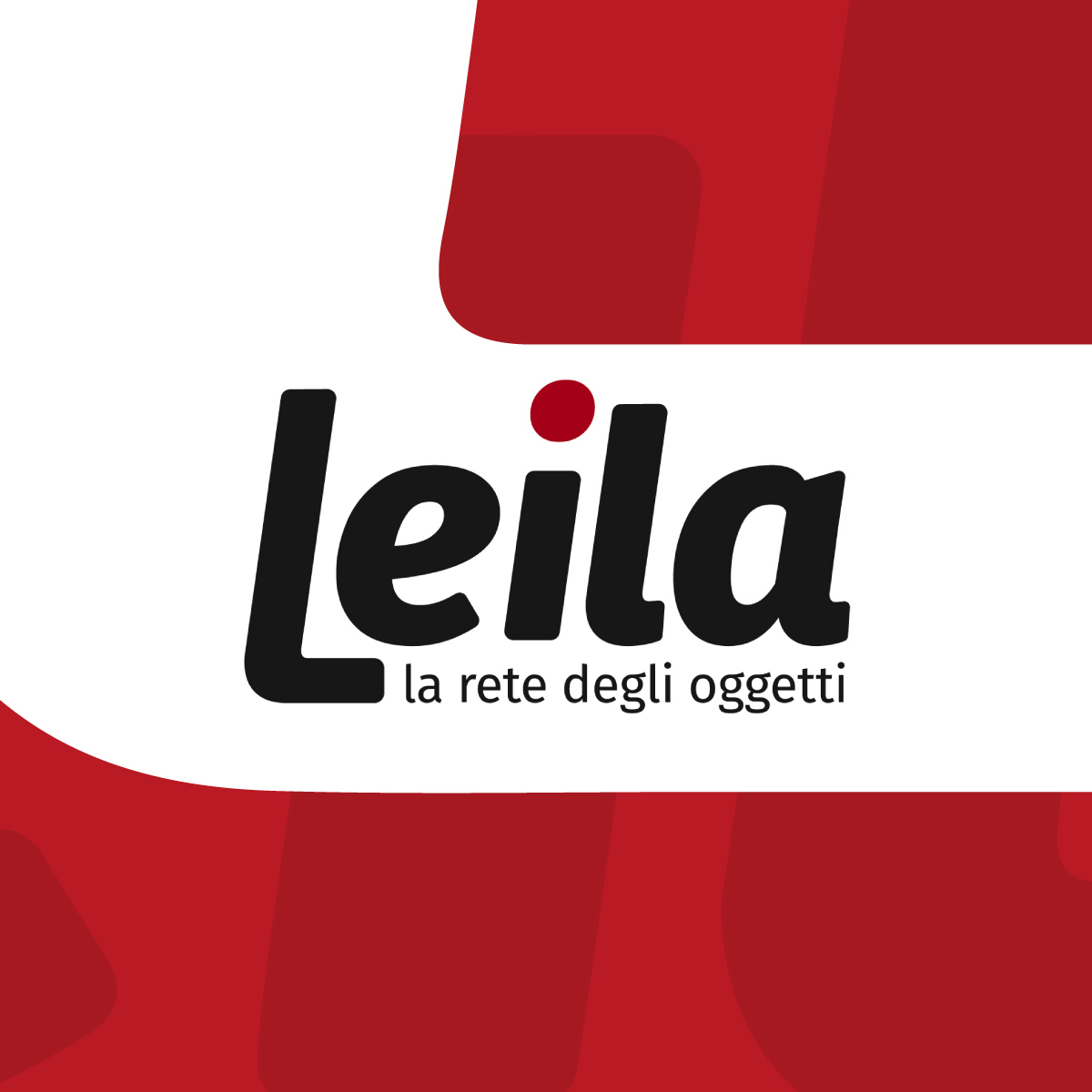 leila-immagine-evidenza